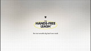 The HandsFree Leash™  Behind the Design  ZeeDog [upl. by Yila298]