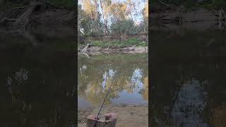 goulburn river Victoria riverside Australia fishing camping vanlife [upl. by Obelia]