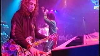 Pop Will Eat Itself  92°F live on Up The Junctionmkv [upl. by Rasla]