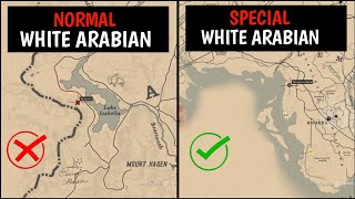 One amp Only Special White Arabian Horse That 99 Players Missed  RDR2 [upl. by Inahteb]