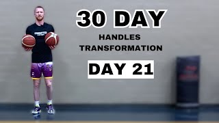 DAY 21  30 DAY HANDLES TRANSFORMATION [upl. by Hemingway528]