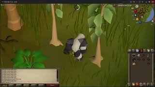 3 TICK WOODCUTTING QUICK GUIDE OSRS [upl. by Willmert]