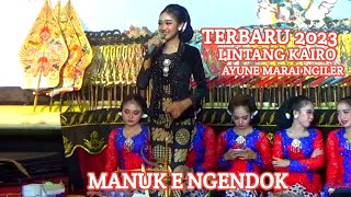 GAYENG POL LINTANG KAIRO TERBARU [upl. by Laeno51]