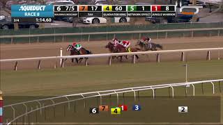 Maximus Mischief  2018  The Remsen Stakes [upl. by Sollars434]