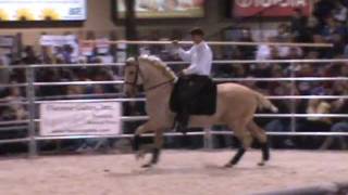 Garrocha  Horse World Expo MD 2012 [upl. by Haseefan]