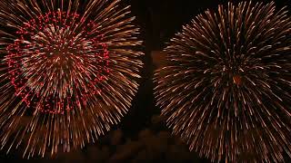 10 Most Impressive Fireworks Displays in the World  Happy new year 2024 [upl. by Inaniel264]