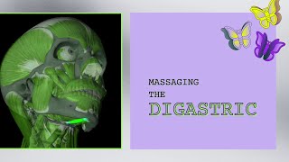 Massaging the Digastric [upl. by Sedda]