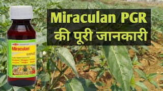 Miraculan PGR के बारे में पूरी जानकारी  Miraculan Plant growth Regulator [upl. by Iey]