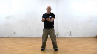 Wing Chun  Biu Jee Form [upl. by Gardas]