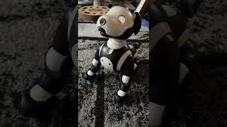 Unique Sony Aibo ERS1000 Robot Dog customized in blackwhite with sparkling Faceplat [upl. by Einafit293]