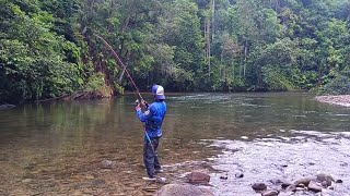 Menyala Abang ku Kami terjebak di Kerajaan hampala [upl. by Wellington]