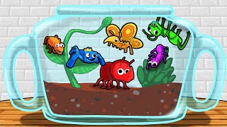 RAINBOW BUGS TERRARIUM [upl. by Mona357]