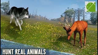 Scary Wolf Online Multiplayer Game  Android Gameplay FHD [upl. by Celie]