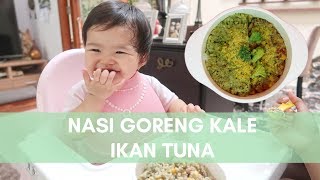 Nasi Goreng Kale Ikan Tuna Ala Azquera  MPASI 9 Bulan [upl. by Enived]