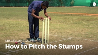 How to Pitch the Stumps  Cricket [upl. by Azriel]