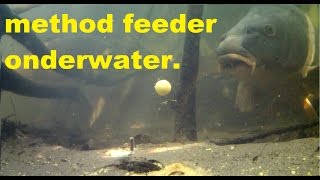 Karpervissen met de method feeder onderwater beeldenCarp fishing with a Method feeder underwater [upl. by Natanoj]