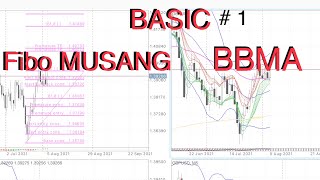 Basic FIBO MUSANG dan penerapannya pada BBMA [upl. by Mcquade]