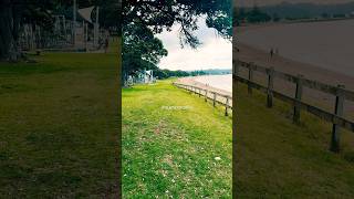 Paihia Beach amp Te Ti Bay New Zealand shorts naturewalk naturelovers birdloversdaily birding [upl. by Raleigh]