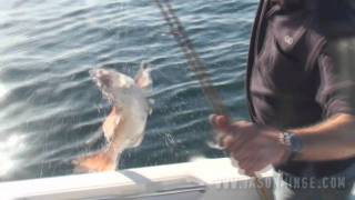 Snapper Fishing  December 2010 Wallaroo and Port Hughes [upl. by Aehsrop]