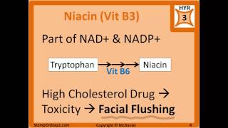 Water Soluble Vitamin Deficiency Scurvy Pellagra WernickeKorsakoff Syndrome Beriberi [upl. by Hayward586]