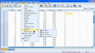 KruskalWallis  SPSS part 4 [upl. by Osnofedli]