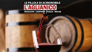 L Aglianico Il Barolo del Sud [upl. by Anhpad]