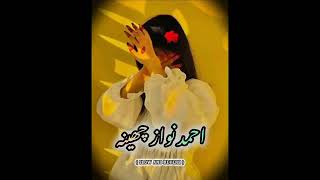 Ahmad Nawaz Cheena I New song slowed reverb All saraiki song slowed reverb All saraiki song Zeeshan [upl. by Aznofla]