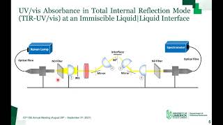 SelfAssembly amp Electrochemistry of Porphyrin Nanostructures at Electrified LiquidLiquid Interfaces [upl. by Ahsinehs]