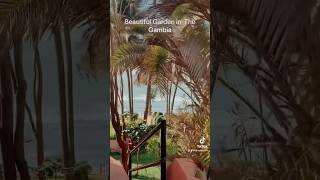 Gambia Beautiful Gardens gambia africa shorts [upl. by Seyer]