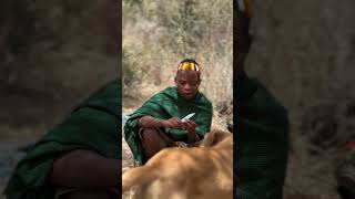 Hadza tribe woman eating lunch in the wilderness food [upl. by Hartill]