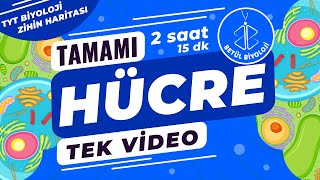 Hücre Tekrar  TAMAMI TEK VİDEO  TYT Biyoloji Konu Anlatımı [upl. by Eric]