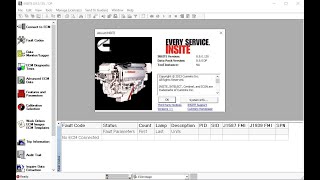 INSITE 89 intallECM Flash Diagnostic Test [upl. by Eeraj]