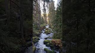 Triberger Wasserfälle travel reisen deutschland wasserfälle triberg [upl. by Zalucki]