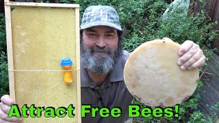 How To Attract Bees To Your Bee Box [upl. by Shermie]