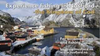 Nusfjord Lofoten  the seasonal Cod fisheries [upl. by Lara]