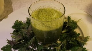 Grüner Smoothie mit Brennnesseln Rezept  Der Bio Koch 460 [upl. by Oivat]