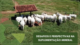 DESAFIOS E PERSPECTIVAS NA SUPLEMENTAÇÃO MINERAL [upl. by Peltz127]