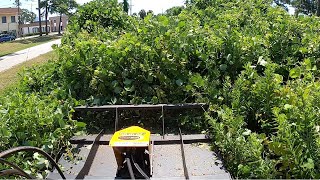 KUDZU KILLZONE MEGA MOWER X TAKES ON SOME EXTREME KUDZU OVERGROWTH [upl. by Ykcin]