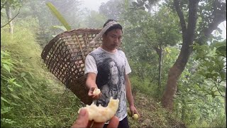 Nepali Village Vlog  cutting grass In Village [upl. by Fe]