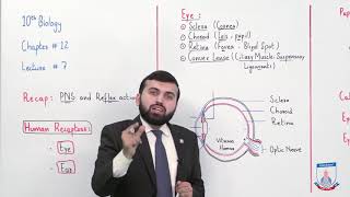 Class 10  Biology  Chapter 12  Lecture 7 Human Eye  Allied Schools [upl. by Essex260]