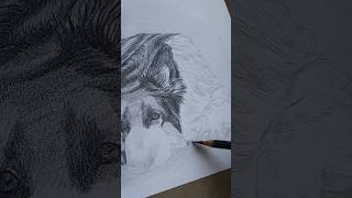 asmr art sketch pencils [upl. by Nanaek]