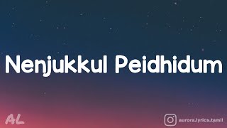 Vaaranam Aayiram  Nenjukkul Peidhidum Song  Lyrics  Tamil [upl. by Neelcaj]