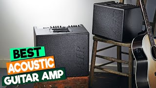 Top 5 Acoustic Guitar Amps Under 500 [upl. by Fina]