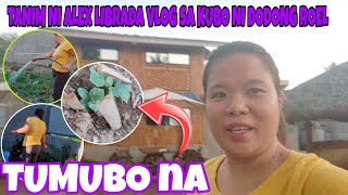 🔴TANIM NI ALEX LIBRADA VLOG SA KUBO NI DODONG ROEL TUMUBO NA GLAIZAVARONAOFFICIAL [upl. by Everest552]