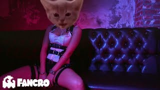 Becky G  Mayores Bad Bunny  Cover Gatos [upl. by Asinet]