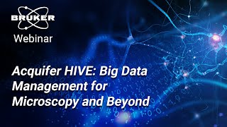 Big Data Management for Microscopy and Beyond  Bruker Webinar [upl. by Itsirk]