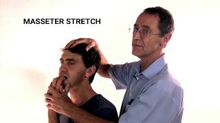 How to Stretch the Masseter Muscle  Trigger Point Therapy [upl. by Mandy930]