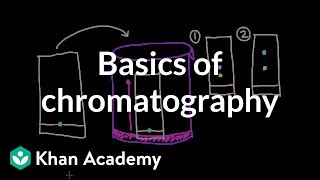 Basics of chromatography  Chemical processes  MCAT  Khan Academy [upl. by Nottap]