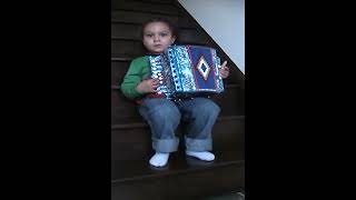 Accordion Solo  A Four year old plays the accordion organetto [upl. by Garik]