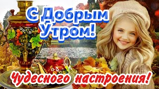 🍁 Здравствуйте 🌹 Доброе Утро ☕️ Как Вам сегодня спалось 🌺 Красивые пожелания Хорошего Дня 💗 [upl. by Acirtap]